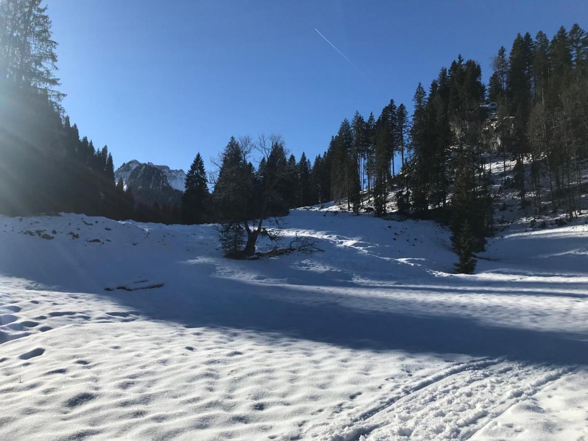 Apartament Kraehenberg Am Rande Der Wildnis Sibratsgfäll Zewnętrze zdjęcie