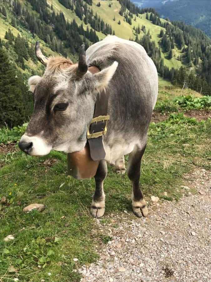 Apartament Kraehenberg Am Rande Der Wildnis Sibratsgfäll Zewnętrze zdjęcie