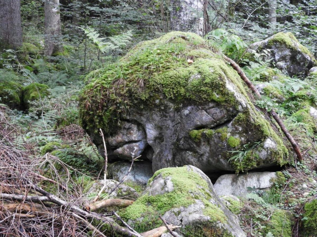 Apartament Kraehenberg Am Rande Der Wildnis Sibratsgfäll Zewnętrze zdjęcie