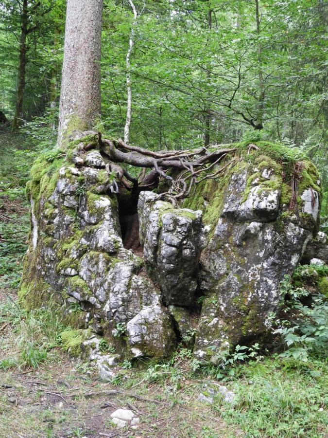 Apartament Kraehenberg Am Rande Der Wildnis Sibratsgfäll Zewnętrze zdjęcie