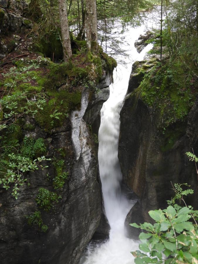 Apartament Kraehenberg Am Rande Der Wildnis Sibratsgfäll Zewnętrze zdjęcie