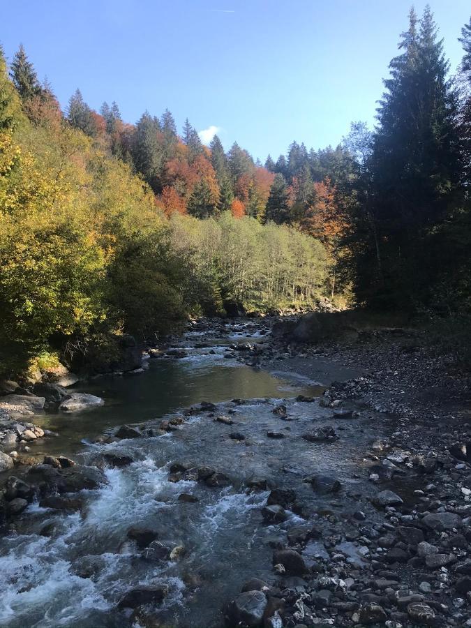 Apartament Kraehenberg Am Rande Der Wildnis Sibratsgfäll Zewnętrze zdjęcie